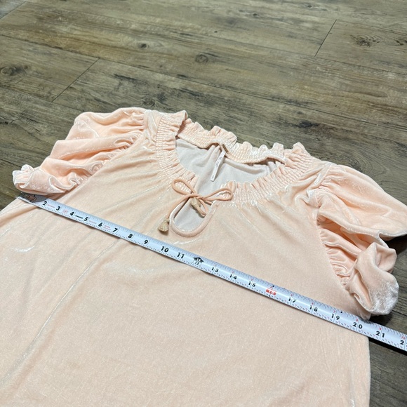 NWOT Free People Terese Velour Crop Top Pink Tint Flutter Balloon Sleeves Size S - Picture 12 of 13